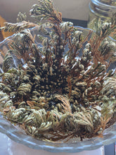 Load image into Gallery viewer, Rose of Jericho